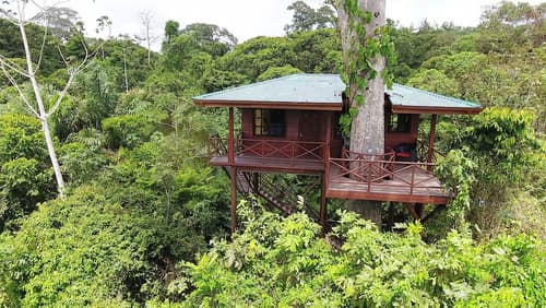 Maquenque Eco Lodge, Room