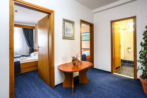 Hotel Drazica, Room