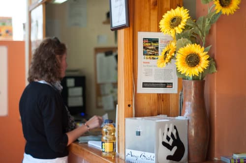A Sunflower Stop - Hostel, Reception