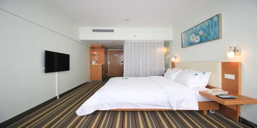 Shanshui Trends Hotel North Huaqiang, Room