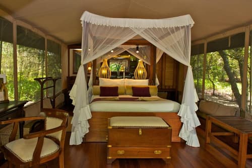 Mara Intrepids Tented Camp, Room