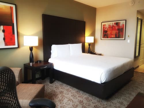 Hilton Garden Inn Tuxtla Gutierrez, Room