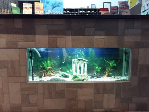 Sparta Team Hotel - Hostel, Reception