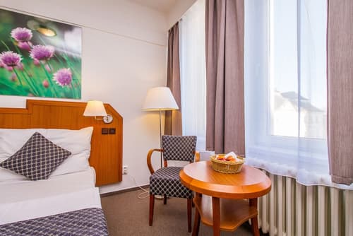 LH Hotel Mědínek Old Town, Room