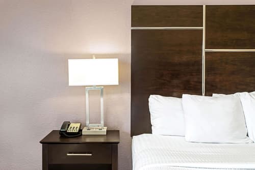 La Quinta Inn & Suites by Wyndham Denver Gateway Park, Room