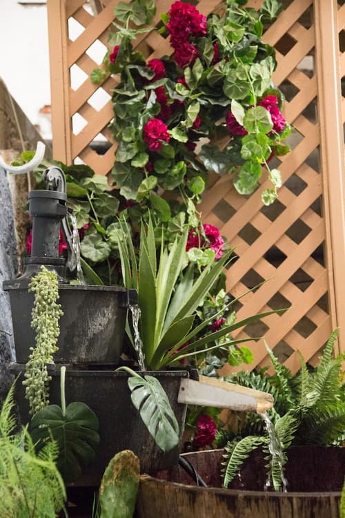 1849 Backpackers Hotel, Interior