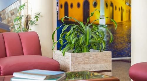 Oscar Hotel, Reception