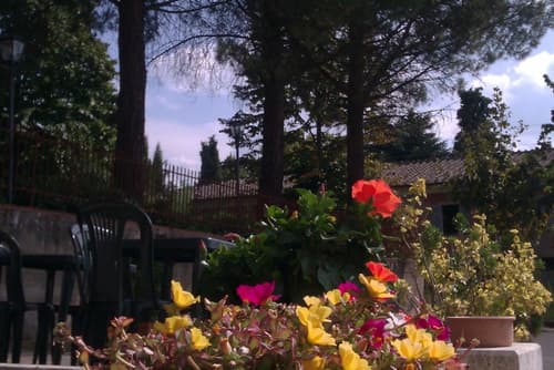 Hotel I Platani, Garden