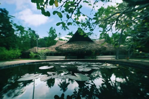 Marari Beach - Cgh Earth, Reception