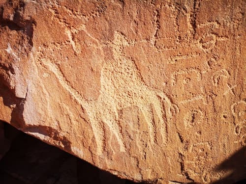 Beyond Wadi Rum Camp, Hiking