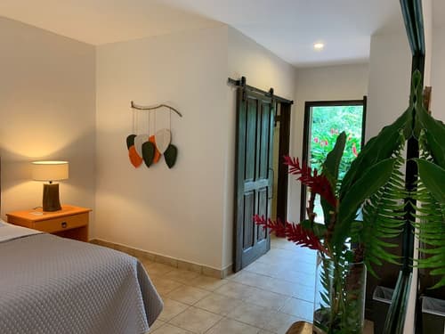 Natural Lodge Caño Negro, Room