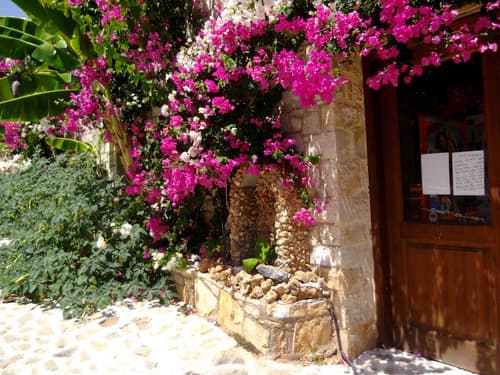 Stone Village, Property grounds