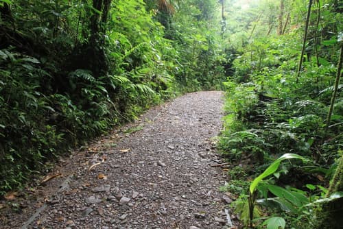 Monteverde Lodge, Hiking