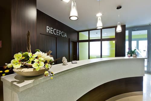 Hotel Viktor, Reception