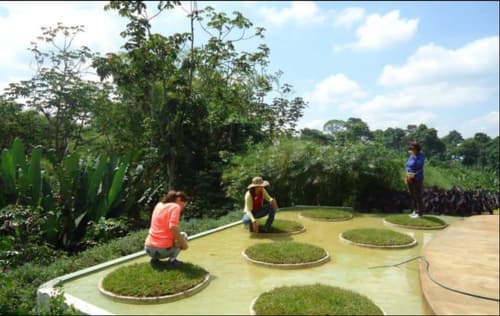 Hacienda Combia, Ecotours