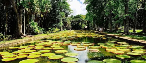 Le Champ de Mars B&B, Point of interest