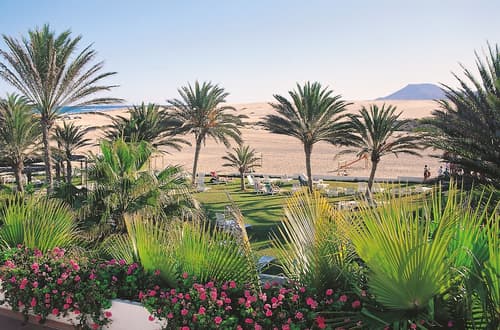 Hotel Riu Oliva Beach Resort - All Inclusive, Garden