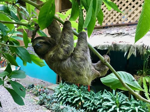 La Kukula Lodge, Game viewing