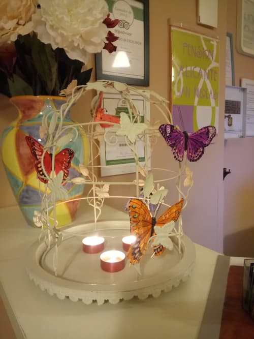 Alicante San Nicolás, Reception