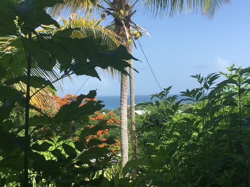 Sea Gate Hotel, Terrace/patio