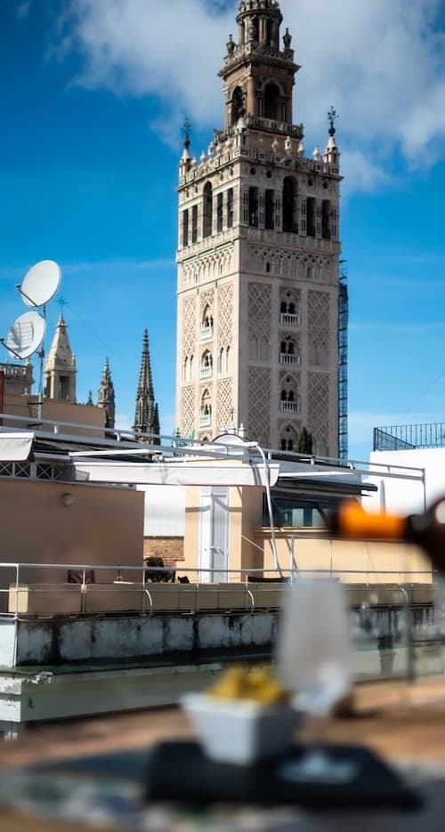 Hotel Palacio Alcazar, Terrace/patio