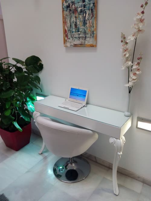 Hotel Palacio Alcazar, Lobby