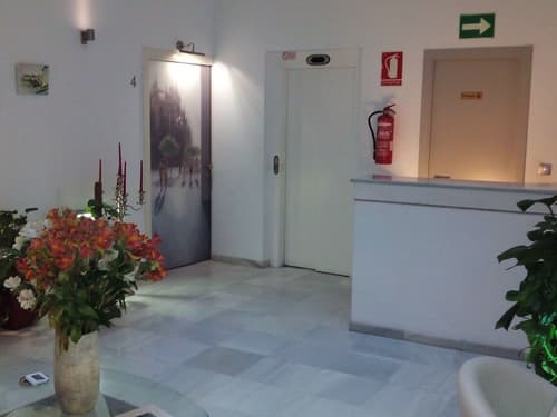 Hotel Palacio Alcazar, Reception