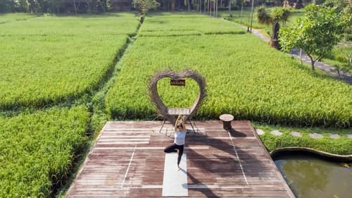 KajaNe Yangloni, Primary image