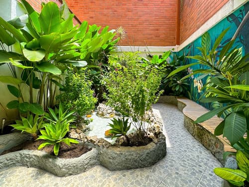 Solar Hotel Casa Laureles, Living area