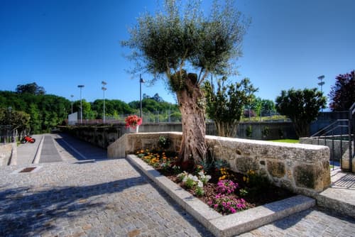 Hotel Fonte Velha, Garden