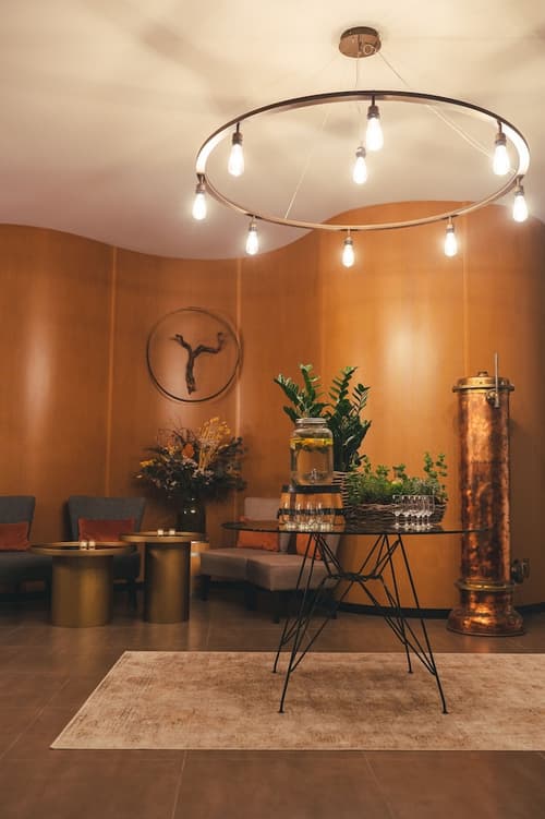 MW Douro Wine & Spa, Interior entrance