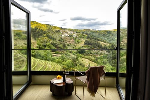 MW Douro Wine & Spa, Primary image