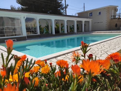 Artemisia, Primary image