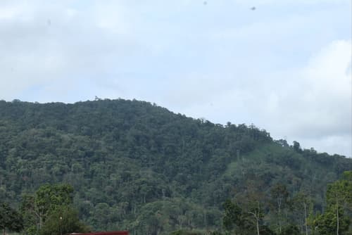 Hotel Pacuare Turrialba, Mountain view