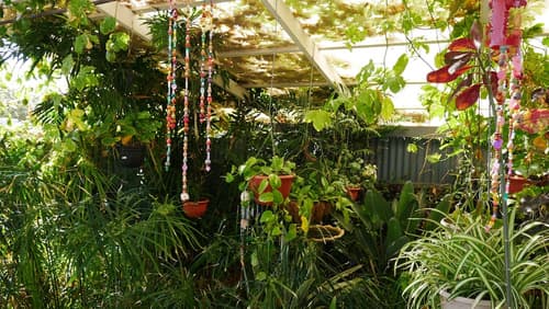 Geraldton Backpackers on the Foreshore, Garden