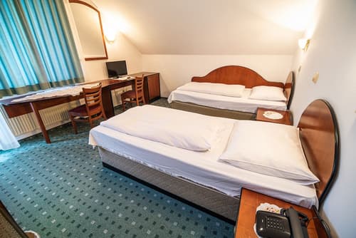 Guesthouse Leški Dvor, Room