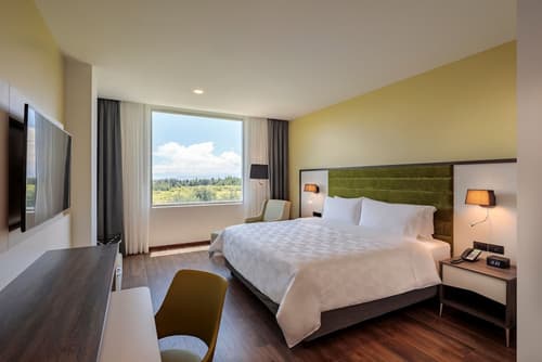 Holiday Inn Quito Airport by IHG, Room