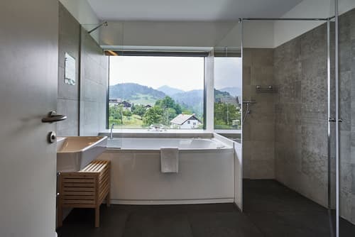 eco boutique hotel A.M.S. Beagle Bled, Bathroom