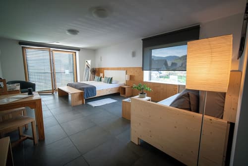 eco boutique hotel A.M.S. Beagle Bled, Room