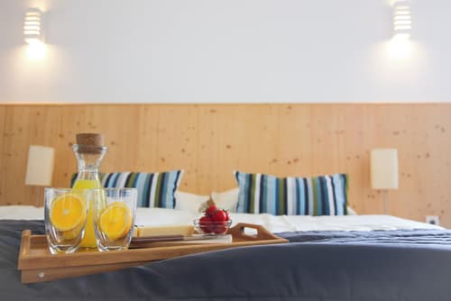 eco boutique hotel A.M.S. Beagle Bled, Room