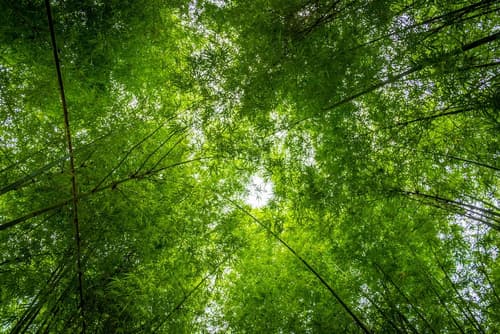 The River Resort, Interior entrance