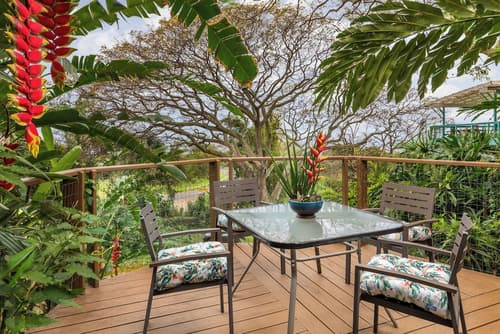 Dragonfly Ranch, Terrace/patio