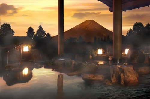 Hotel Green Plaza Hakone, Hot springs