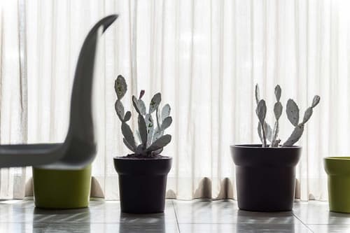 8Piuhotel, Lobby lounge