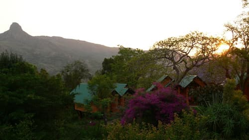 Mantenga Lodge, Property grounds