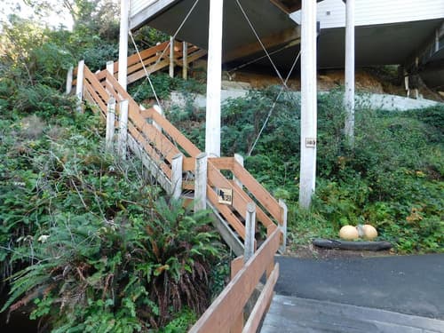 Little Creek Cove Beachfront Resort, Room