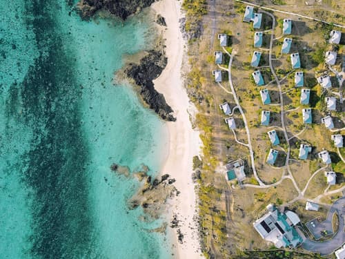 Constance Tekoma. Rodrigues, Primary image