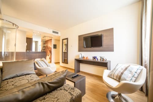 HB Aosta Hotel & Balcony SPA, Room