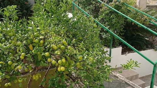 Villa Softic, View from room