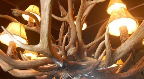 Shakespeare Hotel Surry Hills, 